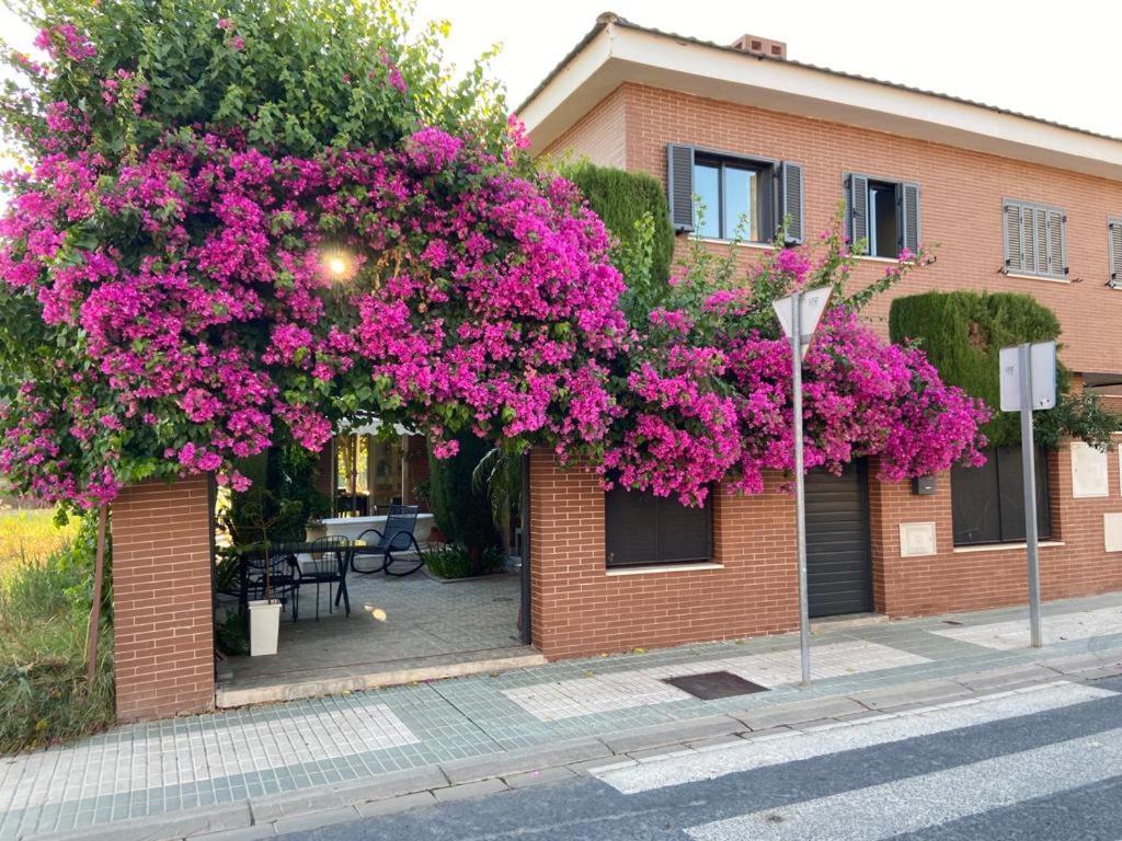 Paz Y Tranquilidad, A Un Paso De Sevilla 산 후안 데 아스날파라체 외부 사진